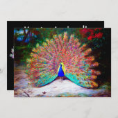 Peacock schilderen Kaart (Voorkant / Achterkant)