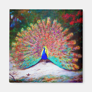  Peacock schilderen Magneet