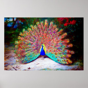 Peacock schilderen Poster