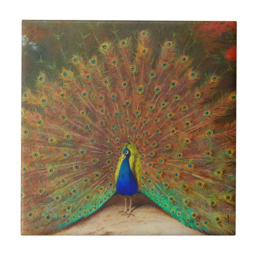  Peacock-schilderstapel Tegeltje (Voorkant)