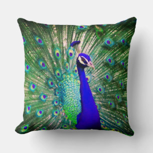 Peacock-Sierkussen Kussen