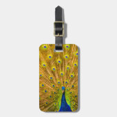 Peacock, Silver Herfsten, Kauai, Hawaii Bagagelabel (Voorkant verticaal)