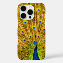 Peacock, Silver Herfsten, Kauai, Hawaii iPhone 16 Pro Hoesje