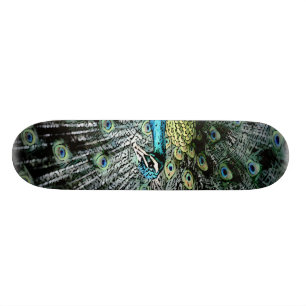 PEACOCK SKATEBOARD