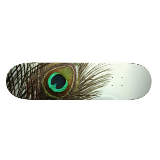 Peacock-skateboard Skateboard
