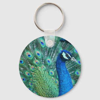Peacock Sleutelhanger