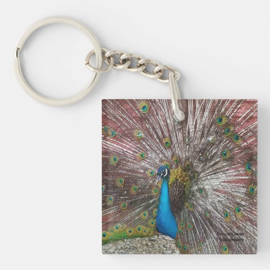 Peacock Sleutelhanger (voorkant)