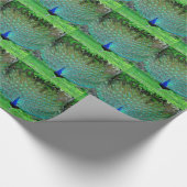 Peacock Slight Cadeaupapier (Hoek)