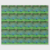 Peacock Slight Cadeaupapier (Vlak)