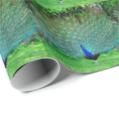 Peacock Slight Cadeaupapier (Rol Hoek)