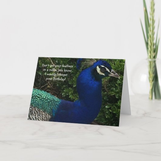 Peacock sluit Birthday af Kaart (Voorkant)