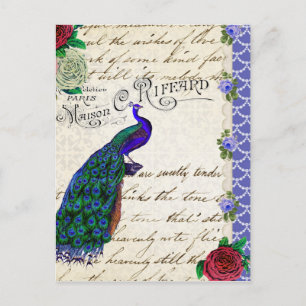 Peacock Song Collage Briefkaart