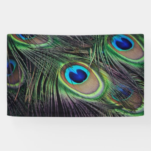 Peacock Spandoek (Horizontaal)