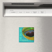 Peacock sparen de Datum Aqua Magnet Magneet (Insitu (Vaatwasser))