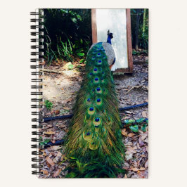 Peacock Spiegel Hard Hoesje Notitieboek