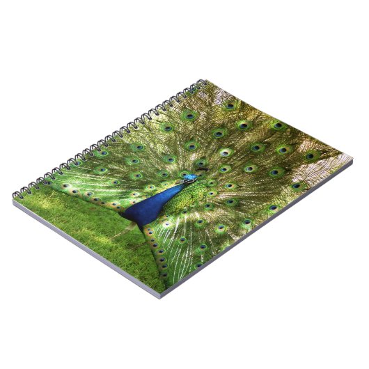 Peacock Spiral notebook Notitieboek (Linkerzijde)