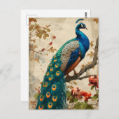 Peacock Splendor Briefkaart (Voorkant / Achterkant)
