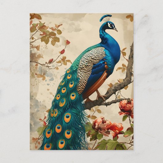 Peacock Splendor Briefkaart (Voorkant)