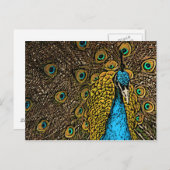 Peacock Splendor Illustratie Briefkaart (Voorkant / Achterkant)