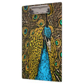Peacock Splendor Illustratie Klembord (Links)