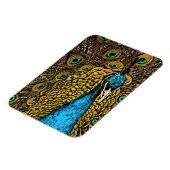 Peacock Splendor Illustratie Magneet (Linkerzijde)
