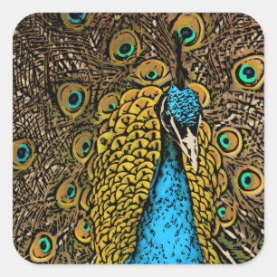 Peacock Splendor Illustratie Vierkante Sticker