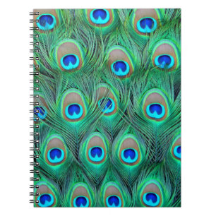 Peacock Splendor Notitieboek