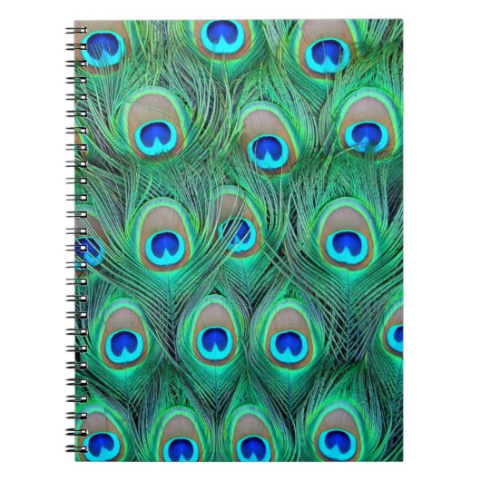 Peacock Splendor Notitieboek (Voorkant)