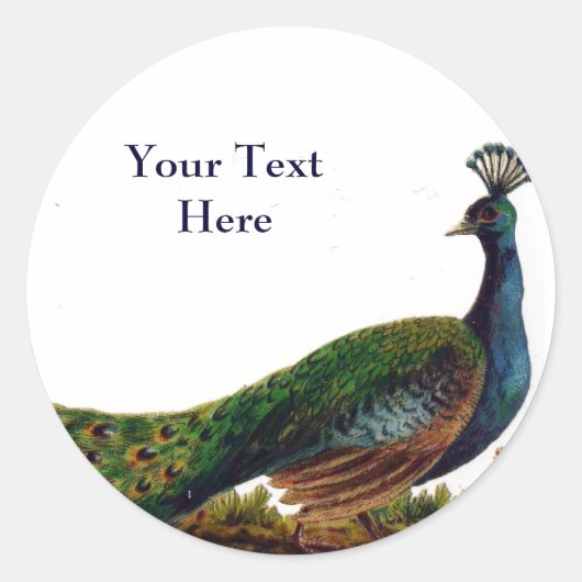 Peacock Stickers (Voorkant)