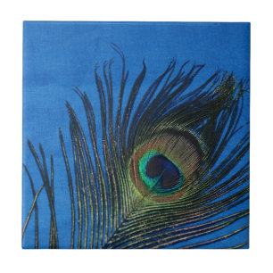 Peacock - stilleven met blauwe tegel tegeltje