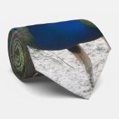 Peacock-Stropdas Stropdas (Opgerold)