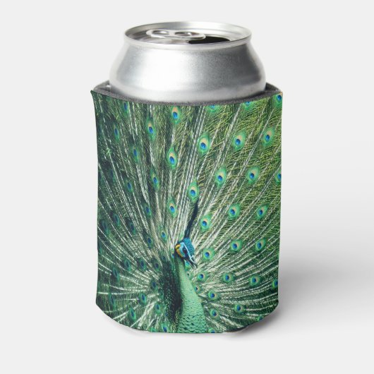 Peacock Strut Blikjeskoeler (Blikje Achterkant)