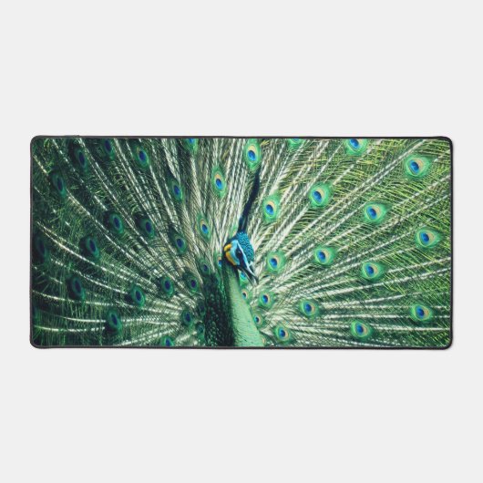 Peacock Strut Bureaumat (Voorkant)