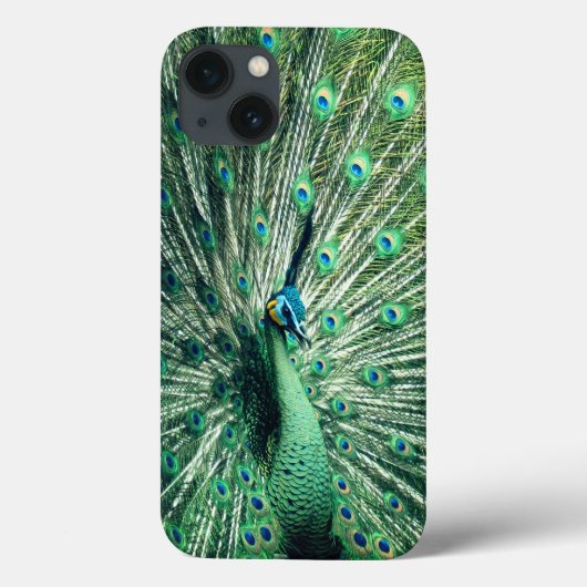 Peacock Strut Case-Mate iPhone Case (Achterkant)