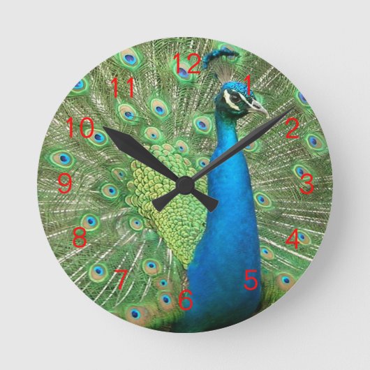 Peacock Strut Clock Red2 Ronde Klok (Voorkant)