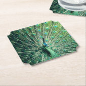 Peacock Strut Kartonnen Onderzetters (Gekanteld)