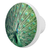 Peacock Strut Keramische Knop (Rechts)