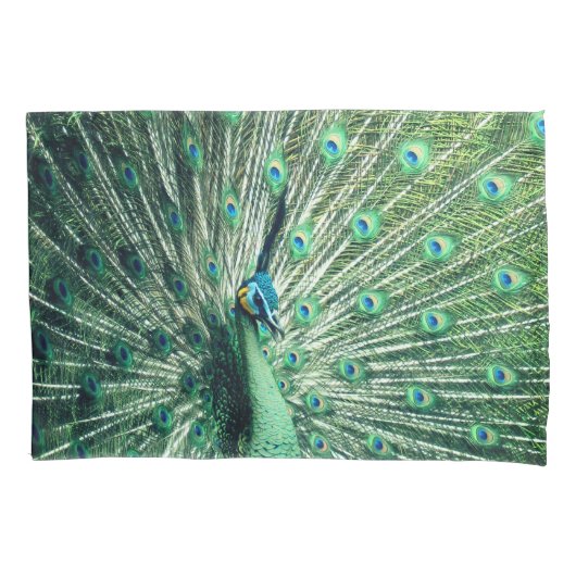 Peacock Strut Kussensloop (Voorkant)