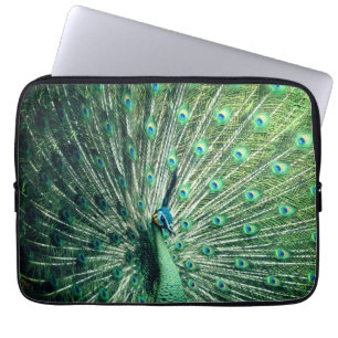 Peacock Strut Laptop Sleeve
