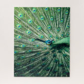 Peacock Strut Legpuzzel (Verticaal)