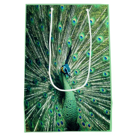 Peacock Strut Medium Cadeauzakje (Achterkant)