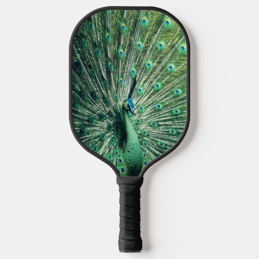 Peacock Strut Pickleball Paddle (Voorkant)