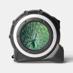 Peacock Strut Rolmaat