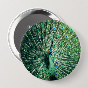 Peacock Strut Ronde Button 4,0 Cm