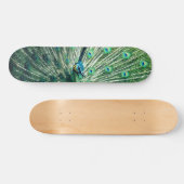Peacock Strut Skateboard (Horizontaal)