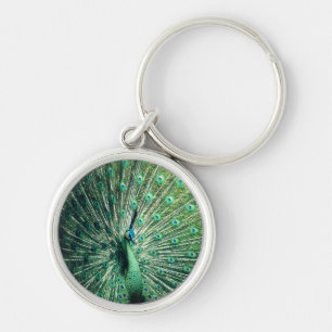 Peacock Strut Sleutelhanger