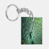 Peacock Strut Sleutelhanger (Voorkant Links)