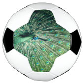 Peacock Strut Voetbal (Gedraaid)