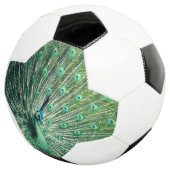 Peacock Strut Voetbal (Drie kwart)