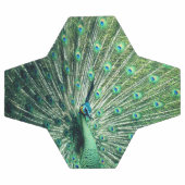 Peacock Strut Voetbal (Enkel)